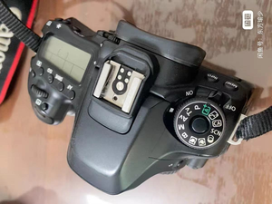 Appareil photo reflex numérique professionnel <span class=keywords><strong>EOS</strong></span> <span class=keywords><strong>80D</strong></span> d'origine Canon d'occasion avec batterie et chargeur de batterie - Product Image 5