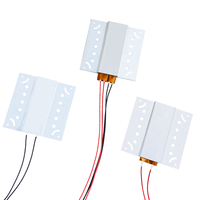 220V 12V PTC radiateurs élément chauffant pour Mini incubateur sèche-cheveux bigoudis chauffage