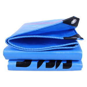 Ruigu Huizhong Blue Thickened PE Tarpaulin 240g <b>Waterproof</b> Sunshade Rainproof Cover Automotive Use - Product Image 1