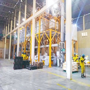 Mulino per Farina di Mais da 100 TPD, Macchina per la Produzione di Farina per Colazioni per il Sud <span class=keywords><strong>Africa</strong></span> - Product Image 2