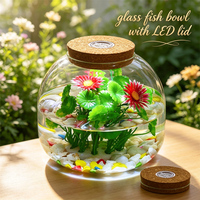 Décoration d'intérieur : Pot de fleurs hydroponique, terrarium, aquarium, vase en verre borosilicate de haute qualité avec couvercle