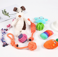 Lot de 9 jouets de luxe pour chiots, jouets à mâcher pour la dentition des petits chiens, balles en peluche mignonnes qui couinent, jouets interactifs en corde, ensemble de jeu durable pour l'entraînement dentaire