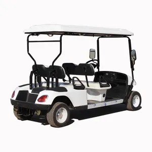 Hot Sale 1500W Double Seat 4-Wheel Electric Golf Cart City Mobility Scooter with Roof for Ebike and Golfing Needs