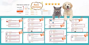 Ehrlichia <span class=keywords><strong>Canis</strong></span> Babesia Anaplasma Heartworm <span class=keywords><strong>Vet</strong></span> Snap Rapid Kit de prueba para mascotas para perros - Product Image 5