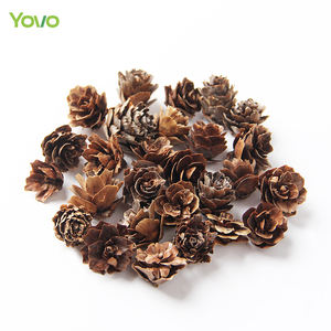 Piñas Secas al por Mayor, Piñas Secas Naturales para Decoración Navideña, Material para Hacer Jabones y Velas - Product Image 2