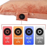 Chaud Rechargeable Électrique Câlin Oreiller Réchauffeur Chauffé Corps Oreiller Pratique Électrique Coussin Chauffant Positionneur Fonctionnel