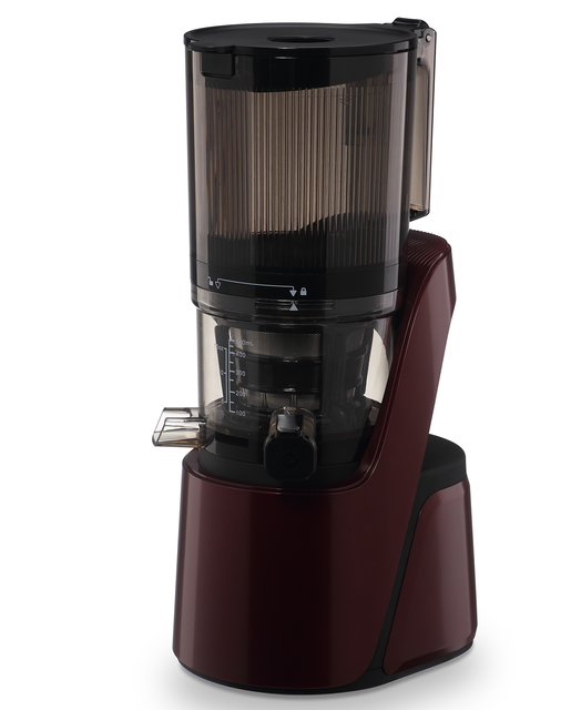 Factory Direct Hot Sale Multi-Function Cold Press Slow Juicer Sorbet Maker