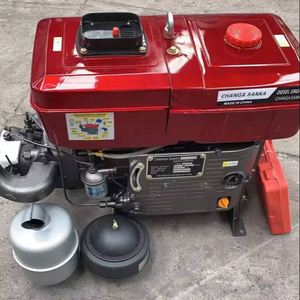 Single Cylinder Water Cooled AMEG Diesel Engine Electric Start ZS1125 for Generators Water Pumps Etc - Product Image 2