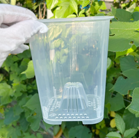 Nouveaux pots carrés transparents pour orchidées Dendrobium avec trous de drainage, bassin de contrôle des racines, en plastique écologique, pour la croissance, jardin intérieur et extérieur