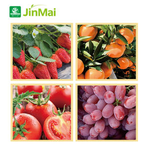 Engrais à haute teneur en potassium 0-0-55, micronutriments chélatés B Zn, coloration des fruits et accumulation de sucre, engrais à base de <span class=keywords><strong>potasse</strong></span> - Product Image 4