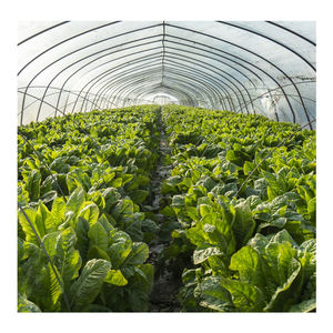 הופה פריפסאדו דומו קאסה invernnadero comercial plasto invernadero - Product Image 2