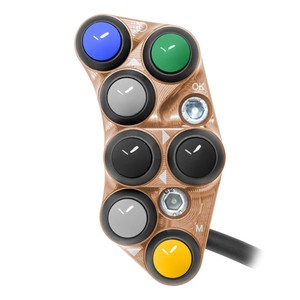 Interrupteur de guidon gauche pour Triumph Tiger 900 (Cuivre) - Product Image 1