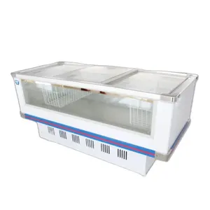 Réfrigérateur électrique Commercial, vitrine/congélateur d'exposition d'aliments en mer,