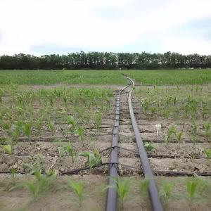 Nhà máy đang bán ống nước HDPE màu đen và màu xanh linh hoạt để tưới tiêu nông nghiệp với giá rất thấp - Product Image 6