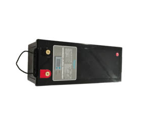 Baterai FRP Ion Lithium 100Ah 200Ah dengan Baterai Bawaan BMS Berkualitas Tinggi 24 Volt Baterai Lifepo4 untuk Motor Kapal Laut - Product Image 5