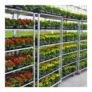温室花卉仓库储存运输便携式植物苗圃容器