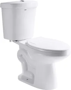 Bolina Factory American Standard CUPC Hot Selling Bathroom WC Toilet Bowl Dual Flush Floor Mounted 2 Piece Toilet