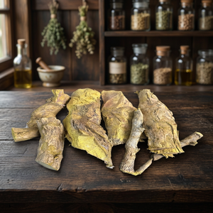 Raíz Seca de Berberis Aristata Premium, Raíz Herbal Natural de Berberis Aristata, Raíz Botánica Cortada de Berberis Aristata - Product Image 3