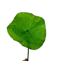 Bunga Lotus Buatan Daun Lotus Palsu Batang Biji Lotus untuk Dekorasi Pernikahan Acara Pemakaman