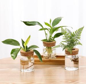 Stations de propagation, terrarium pour plantes avec couvercle et support en bois, vase à fleurs en verre pour bureau, décoration intérieure, cadeaux - Product Image 3