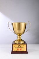 Trofeo de Metal y Madera Personalizado, Premio de PVC para Campeones Deportivos, Medalla de Oro, Copa de Campeones de Fútbol, Placa Conmemorativa