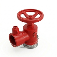 Hydrant d'incendie intérieur SN65 en acier inoxydable 304/316 pour la sécurité incendie des bâtiments intérieurs / Industrie incendie australienne / Réducteur de pression / Pompe à eau