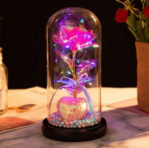 Amore <span class=keywords><strong>romantico</strong></span> all'ingrosso rosa incantata in cupola di vetro con luce a LED anniversario san valentino miglior <span class=keywords><strong>regalo</strong></span> <span class=keywords><strong>per</strong></span> <span class=keywords><strong>lei</strong></span> - Product Image 6