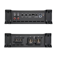 D Sınıfı 2000W Mono Blok Araç Ses Amplifikatörü 1 Kanal Subwoofer Amfisi, Araç Ses Sistemleri için Çift Katmanlı PCB ile