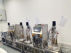 Produits de résolution de problèmes 2025 Fermenteur en verre Plug Flow Reactor Fermentation Bio Reactor 10L - Product Image 6