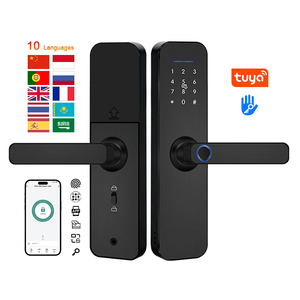 24 Năm Smartlock Nhà Máy Tùy Chỉnh Thông Minh Điện Keyless Nhập Thông Minh Cửa Khóa Với Tuya Cho Nhà Cổng - Product Image 5