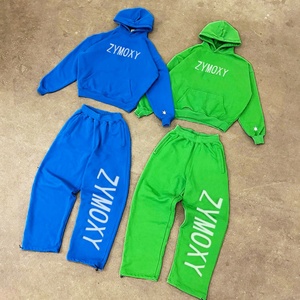Ensemble de survêtements unisexes personnalisés : pantalon baggy et sweat à capuche zippé, 500 g/m², poids lourd, vierges, pour hommes - Product Image 2