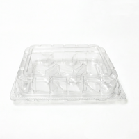 Herbruikbare PET plastic verpakking voor fastfood, rechthoekige bakvorm voor het bewaren van gebak