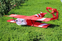 Cerf-volant d'avion réaliste 3D