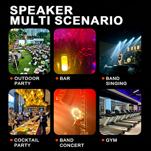 Altavoz Activo de Plástico Resistente de 15 Pulgadas, Alta Potencia Máxima de 800W, Personalización Disponible para Eventos al Aire Libre - Product Image 5