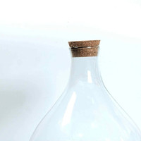 Vente chaude Décoration d'intérieur Vase en verre soufflé à la main Tube pour plantes aériennes Terrarium Contenant et couvercle en bois de liège avec lumière LED