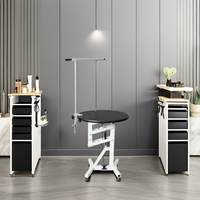 Table de toilettage pour animaux de compagnie, table ronde de toilettage pour chats et chiens, table de toilettage électrique à levage pour le séchage des poils d'animaux