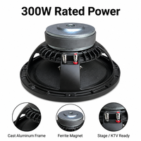 Haut-parleurs passifs pleine gamme 10 pouces modèle LS RG10P51, double 10 pouces, 8 ohms, cadres en aluminium ODM, vente chaude