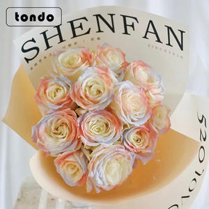 สีสเปรย์ดอกไม้หลากสีขนาด340มล. แบบวิกตอเรีย - Product Image 3