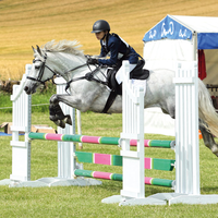 Selle de saut en plastique de barrières de saut de cheval occidental de PVC pour le type de barrière d'équitation produits de cheval