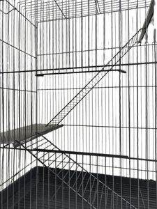 <span class=keywords><strong>Cage</strong></span> ronde en métal écologique pour furet, lapin ou écureuil, intérieur et extérieur, pour petits animaux - Product Image 5