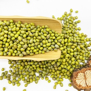 Hạt Đậu Xanh Khô Chất Lượng Hàng Đầu Giá Rẻ Kích Thước Lớn Hơn Giá Trung Quốc - Product Image 4