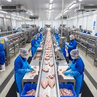 Os de poulet congelés de qualité supérieure avec filet de poitrine - Teneur élevée en viande pour bouillon de ramen et aliments pour animaux de compagnie - Certifié Halal, approvisionnement en vrac