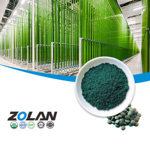 GMP Factory Bulk reines grünes Bio-Spirulina-Pulver in natürlicher Lebensmittel qualität mit koscherem Passah - Product Image 1