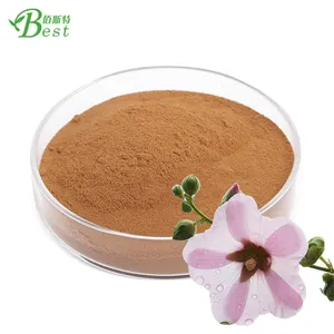 Pure althea extract/marshmallow root extract powder 10:1