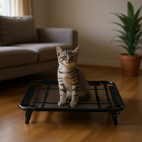 Lit pour animaux de compagnie UFBemo, lit surélevé pliable en maille douce et confortable, rectangulaire, pour intérieur et extérieur, pour chats et chiens, toutes saisons