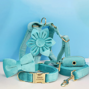Vẻ Đẹp Thời Trang Có Thể Điều Chỉnh Hoa Và Con Chó Bow Tie Set Dễ Thương Hồ Màu Xanh Mềm Mascotas Cổ Áo Cá Nhân Nhung Con Chó Dây Xích - Product Image 1