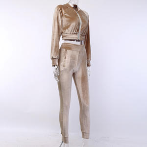 Venta al por mayor de ropa deportiva de terciopelo, Conjunto de sudadera de 2 piezas para mujer, sudadera recortada con cremallera sólida para correr - Product Image 2