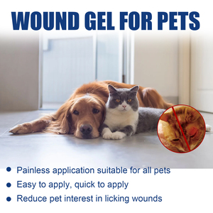 Glicerina e hidroxietilcelulosa para el <span class=keywords><strong>tratamiento</strong></span> de la <span class=keywords><strong>tiña</strong></span> en perros y gatos, gel impermeable para heridas en mascotas - Product Image 4