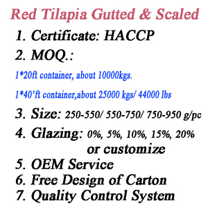 <span class=keywords><strong>Acheter</strong></span> du Tilapia Rouge Vivant Congelé en Gros de Chine – Prix Compétitif pour Tilapia Rouge Frais - Product Image 6
