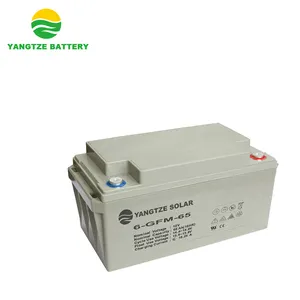 12 v 65ah 干电池在巴基斯坦的 ups 价格